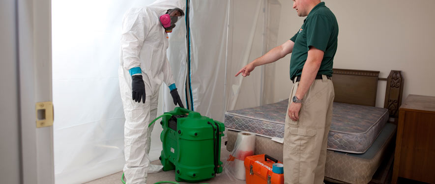 Santa Monica, CA mold removal process